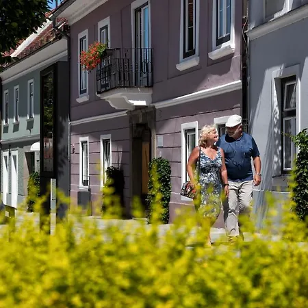 Dvorec Trebnik - Sobe 3* Slovenske Konjice