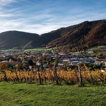 Hotell Dvorec Trebnik - Sobe 3*