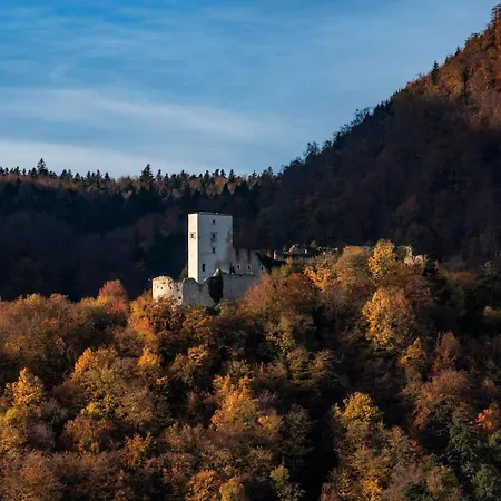 Dvorec Trebnik - Sobe Ξενοδοχείο Slovenske Konjice