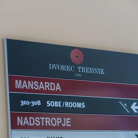 Hotell Dvorec Trebnik - Sobe