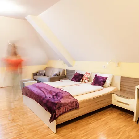 Dvorec Trebnik - Sobe 3* Slovenske Konjice