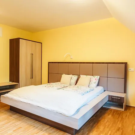Dvorec Trebnik - Sobe 3* Slovenske Konjice