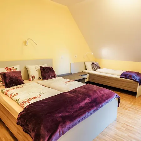 Dvorec Trebnik - Sobe 3* Slovenske Konjice