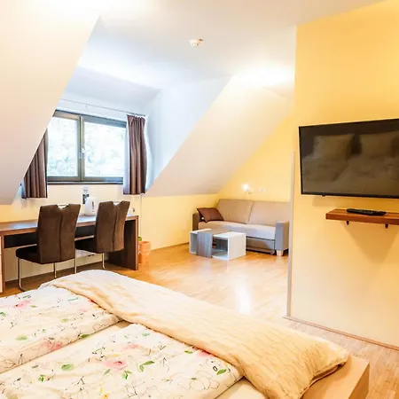 Hotell Dvorec Trebnik - Sobe Slovenske Konjice