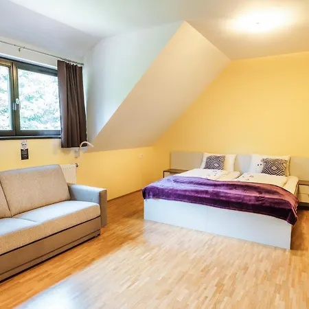 Dvorec Trebnik - Sobe 3* Slovenske Konjice