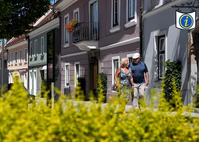 Dvorec Trebnik - Sobe 3* Slovenske Konjice