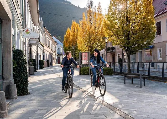 Dvorec Trebnik - Sobe 3*