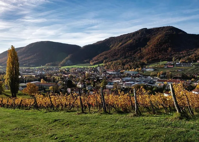 Hotel Dvorec Trebnik - Sobe 3*