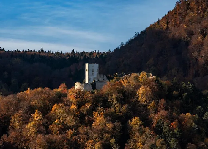 Dvorec Trebnik - Sobe Hotel Slovenske Konjice