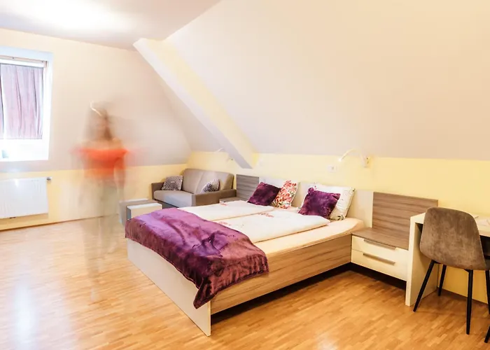 Dvorec Trebnik - Sobe 3* Slovenske Konjice