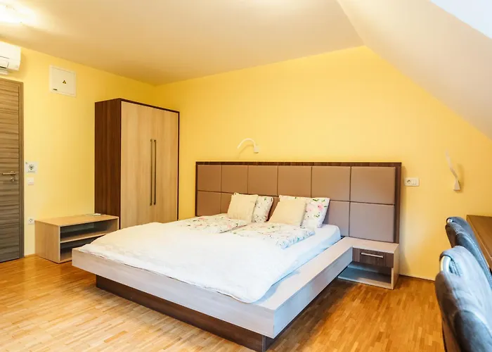 Dvorec Trebnik - Sobe 3* Slovenske Konjice