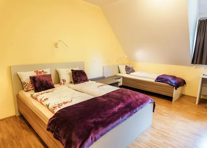 Dvorec Trebnik - Sobe 3* Slovenske Konjice