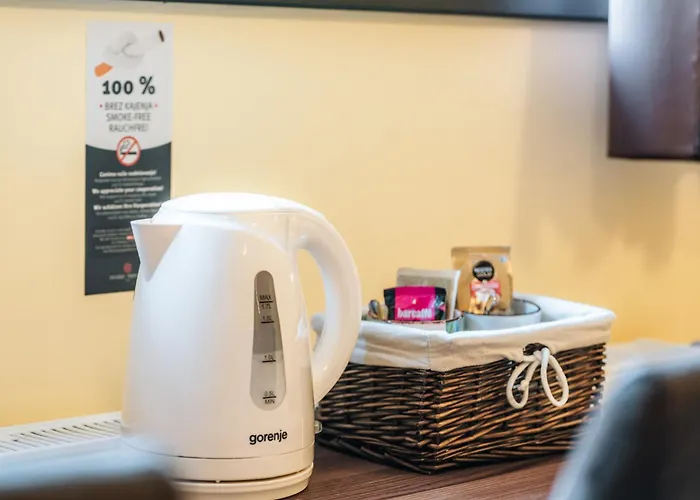 Dvorec Trebnik - Sobe 3* Slovenske Konjice